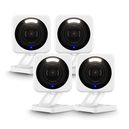 Small Business Monitoring Basic