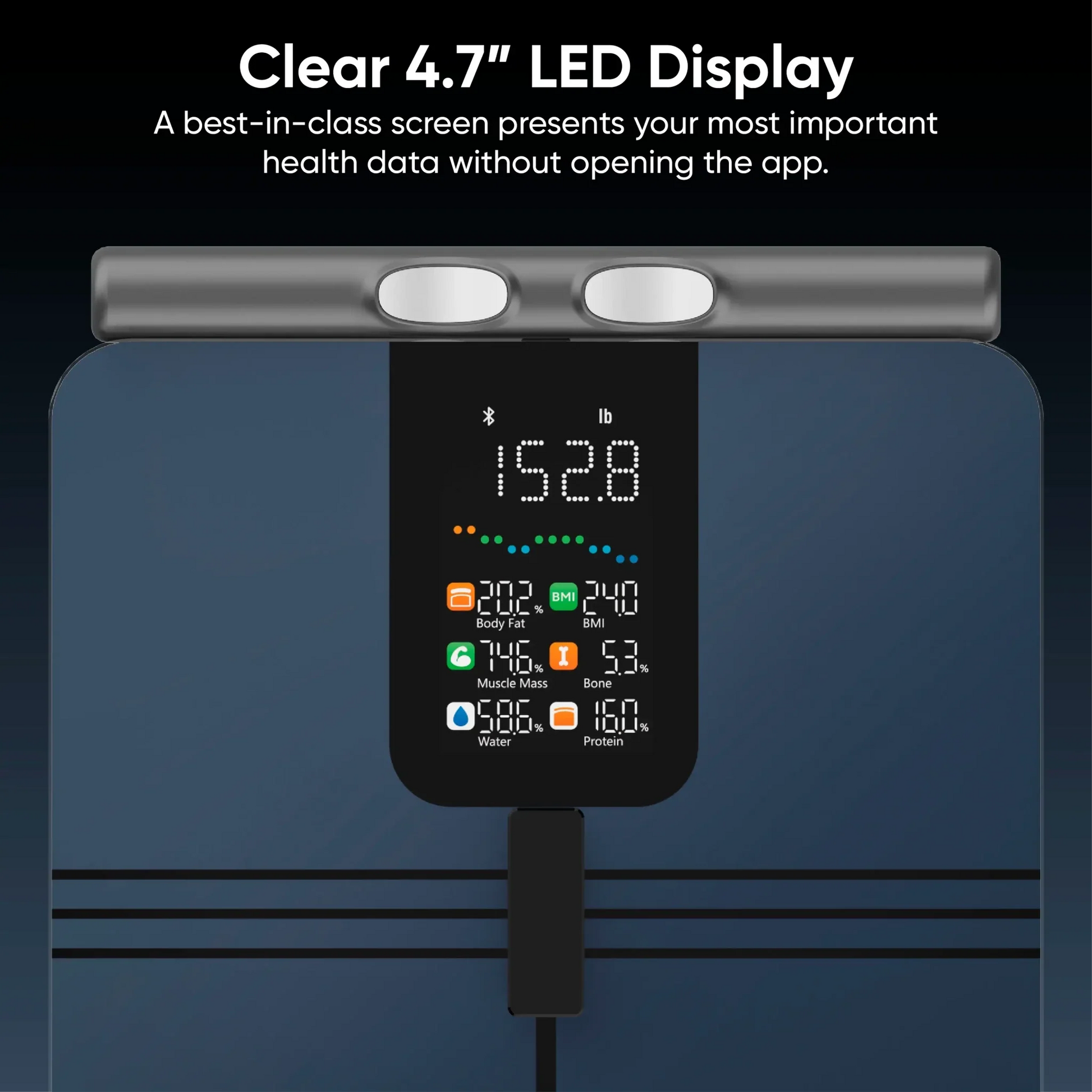 Wyze Scale BodyScan
