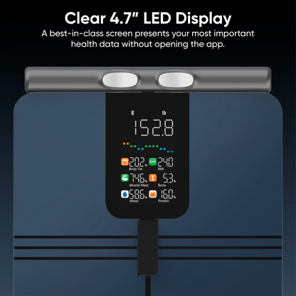 Wyze Scale BodyScan