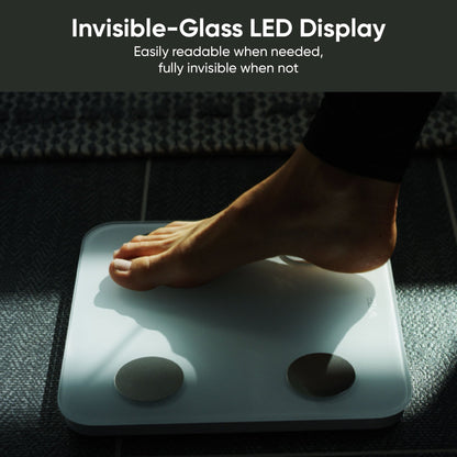 Wyze Scale S